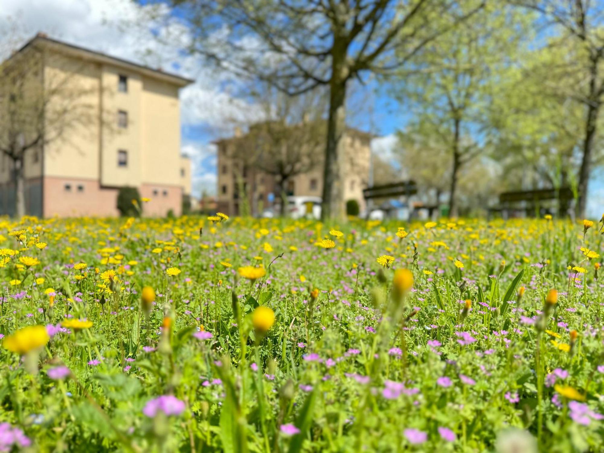 Nel Cuore Della Natura - Parcheggio Gratuito - Wi-Fi Leilighet Mezzolara Eksteriør bilde